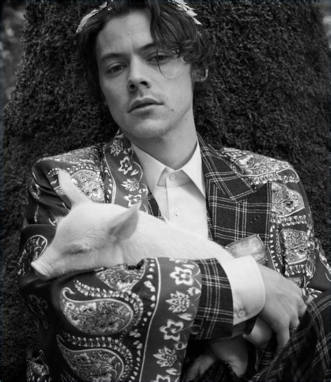 harry styles gucci cruise 2019|Harry Styles stars in second Gucci campaign for Gucci Cruise .